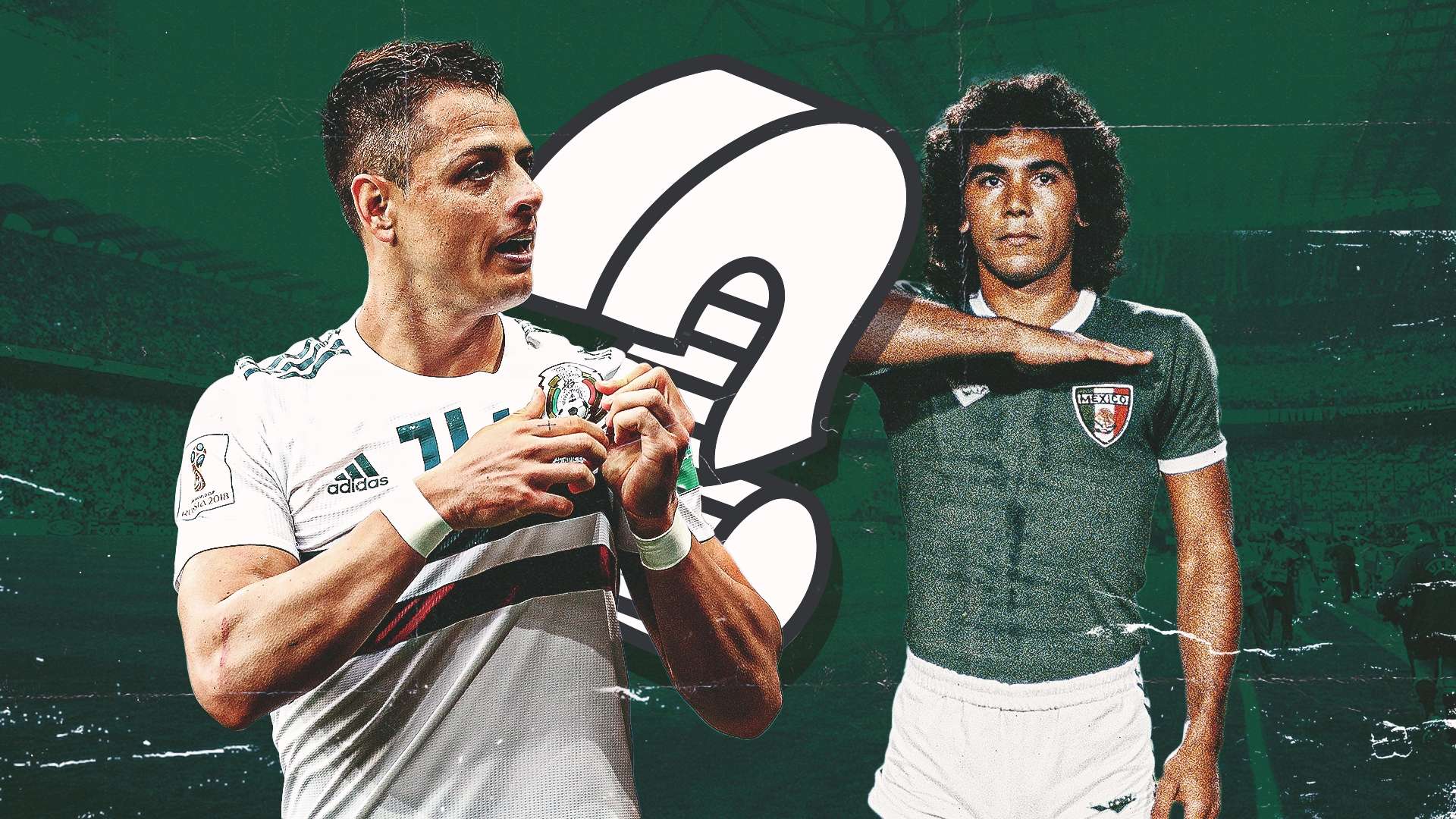 體育場館的 體育場館的